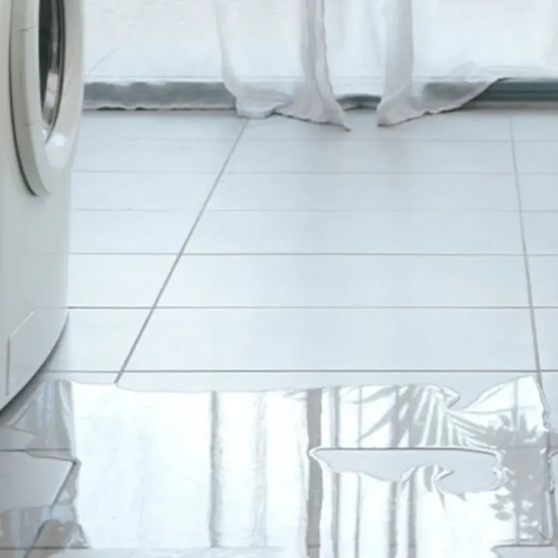 Appliance Leak Cleanup in Volo, IL