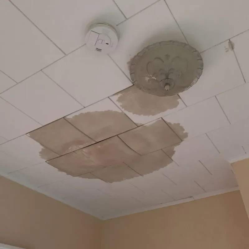 Ceiling Water Damage Repair in Volo, IL