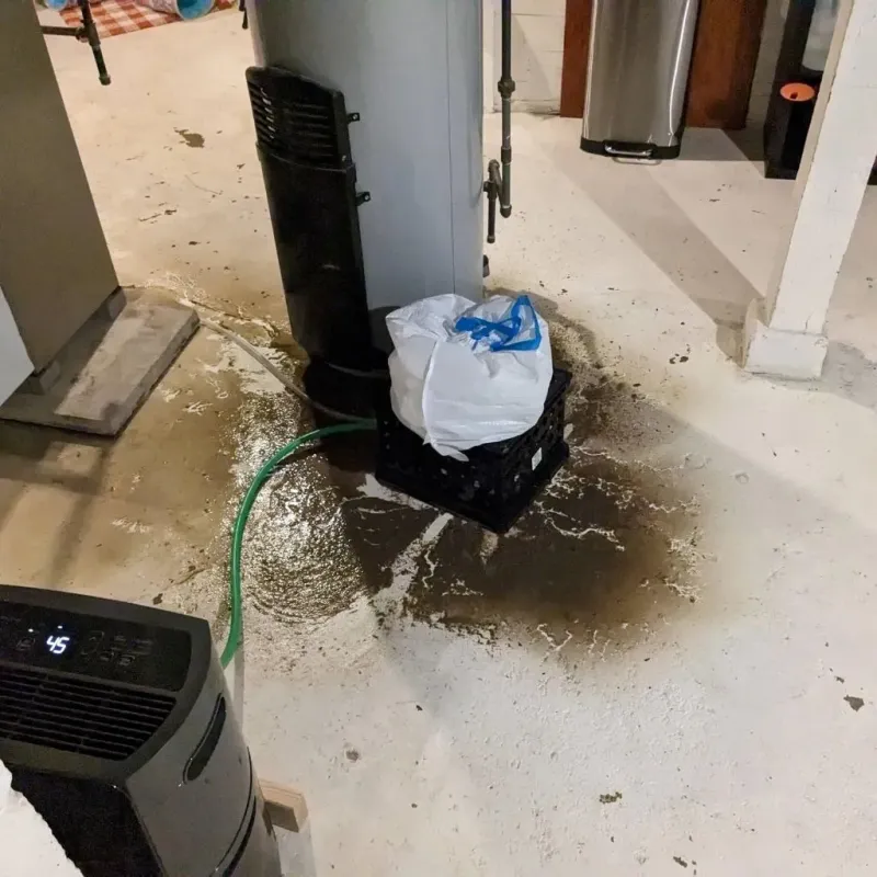 Sewage Backup Cleanup Service in Volo, IL